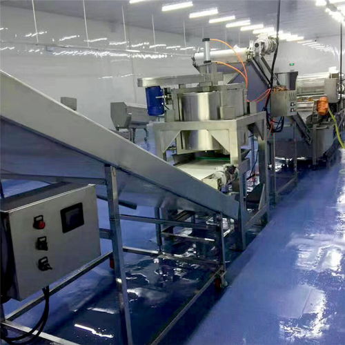 海產(chǎn)品氣泡翻滾式清洗機(jī)廠家多重優(yōu)惠，品質(zhì)保障，長期有效