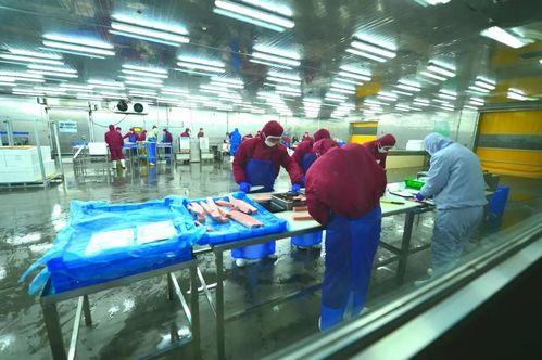 藍(lán)潤水產(chǎn)收購九硒 開啟深藍(lán)戰(zhàn)略新篇章，加速銷售網(wǎng)絡(luò)布局