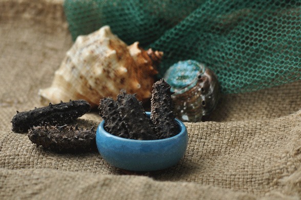 國內(nèi)三大海參產(chǎn)地探秘 品質(zhì)、特色與市場銷售全景